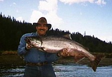 Norm with salmon